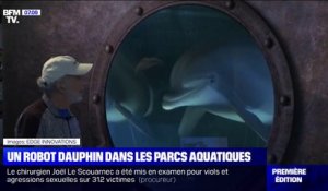 Aux États-Unis, un robot dauphin dans les parcs aquatiques