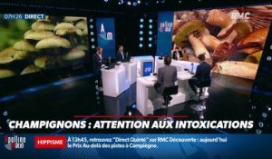 Dupin Quotidien : Attention aux intoxications par les champignons - 27/10