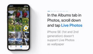 Comment utiliser une Live Photo comme fond d'écran sur iPhone — Apple Support