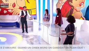 Les Z'Amours : Quand un chien mord un candidat en plein ébat ! (vidéo)