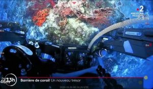 Grande barrière de corail : un nouveau récif découvert
