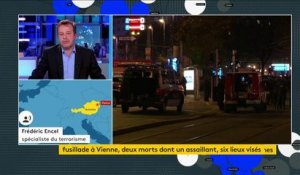 Attentat à Vienne : "C'est un commando préparé de façon professionnelle", selon le chancelier autrichien, Sebastian Kurz