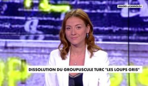 Le groupe ultra-nationaliste turc Les Loups Gris, impliqué dans de récentes actions violentes contre la communauté arménienne en France, a été dissous lors du conseil des ministres