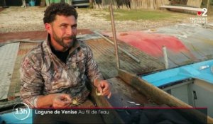 Venise : à la découverte des crabes verts et des "mascarete", les barques emblématiques de la lagune