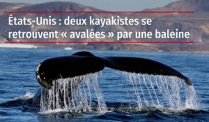 États-Unis : deux kayakistes se retrouvent « avalées » par une baleine