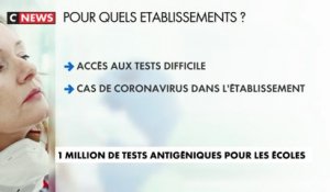 Coronavirus : un million de tests antigéniques pour les écoles