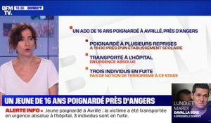 Un ado de 16 ans a été poignardé à plusieurs reprises à proximité d'un lycée à Avrillé, près d'Angers