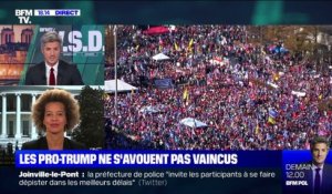 Présidentielle américaine: les manifestants pro-Trump réunis à Washington - 14/11