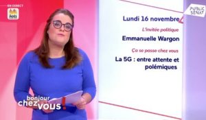 Pascal Savoldelli et Emmanuelle Wargon - Bonjour chez vous ! (16/11/2020)