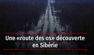 Une « route des os » découverte en Sibérie