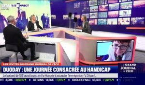 Duoday : une journée consacrée au handicap - 18/11