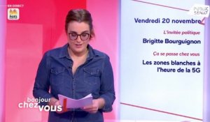 Laurence Cohen et Brigitte Bourguignon - Bonjour chez vous ! (20/11/2020)