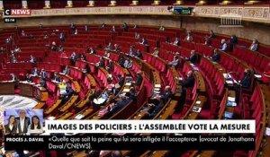 L'Assemblée nationale a voté vendredi soir la mesure la plus controversée de la proposition de loi "sécurité globale" pénalisant la diffusion malveillante de l'image des forces de l'ordre