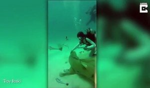 Un plongeur vient en aide à un requin piégé par un hameçon... Joli