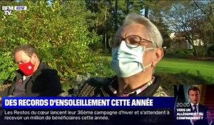 Des records d'ensoleillement cette année - 24/11