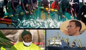 Le secteur de la pêche artisanale en détresse, alerte l'Etat avec une marche prévue 04 Décembre