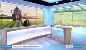 Glyphosate : comment s'en passer ?