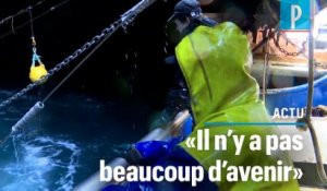 Brexit : l'inquiétude des pêcheurs de Boulogne-sur-Mer