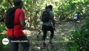 Guadeloupe : Les falaises de l'Anse-Bertrand