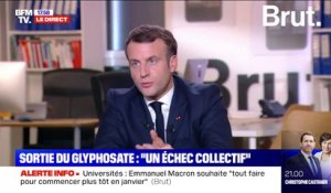 Emmanuel Macron au sujet de l'écologie: "Personne n'a autant fait que nous depuis trois ans"
