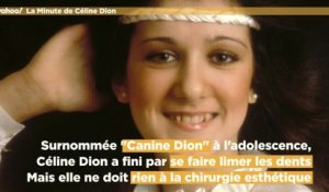 La Minute de Céline Dion