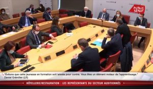 Hôtellerie/restauration : Les représentants du secteur auditionnés - Les matins du Sénat (09/12/2020)
