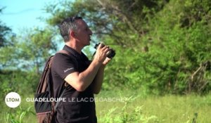 Guadeloupe : Le lac de Gaschet