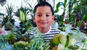 Un petit garçon de 8 ans a créé sa mini entreprise de vente de plantes pour aider sa famille en difficulté