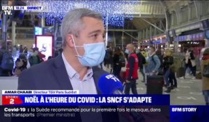 Amar Chaabi (directeur TGV Paris Sud-Est): "Nous attendons environ 150.000 voyageurs ce week-end au départ de la gare de Lyon"