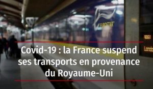 Covid-19 : la France suspend ses transports en provenance du Royaume-Uni
