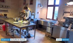 Gastronomie : à la recherche de la truffe en Touraine