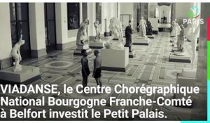 EX-POSE(S) - Danse contemporaine au Petit Palais