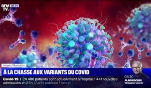 Covid-19: comment traquer le variant britannique du virus ?
