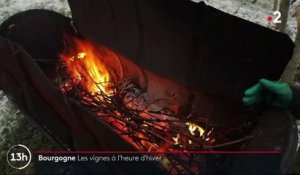 Tradition : à la découverte des vins de Bourgogne