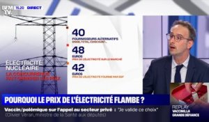 Pourquoi le prix de l'électricité flambe ?