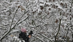 Les images de l'Alsace sous la neige