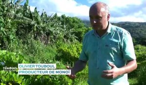 Polynésie Française : Le monoï de Tahiti