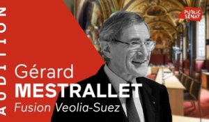 Fusion Veolia-Suez : audition de l'ancien président du conseil d'administration de Suez