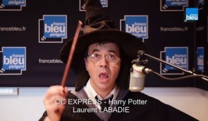 Lo choixpeau - le chapeau d'Harry Potter (Oc Express)