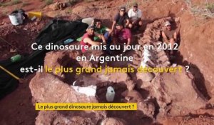 Le plus grand dinosaure jamais découvert a-t-il été mis au jour en Argentine ?