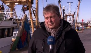 Les premières conséquences du Brexit sur la pêche