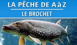La Pêche du Brochet à la verticale et à la traine | Techniques de Pêches - DVD Complet