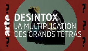 La multiplication des Grands Tétras | 26/01/2021 | Désintox | ARTE