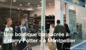 Montpellier : Une boutique entièrement consacrée à Harry Potter