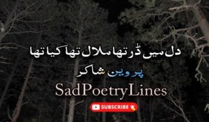 Ek Hunar Tha Kamal Tha Kya Tha | Sad Poetry Lines | Poetry Juncrion