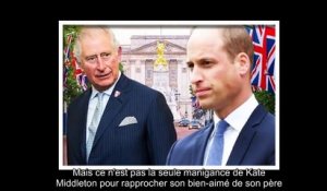 ✅ Le saviez-vous - Kate Middleton a réconcilié William et Charles avec beaucoup de tact et de patie