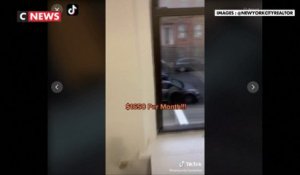 1370 euros par mois pour à peine 10m2 : TikTok s'enflamme pour le «pire appartement» de New York