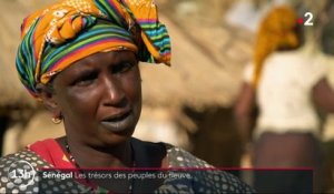 Afrique : voyage sur le fleuve Sénégal