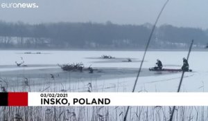 Un troupeau de rennes secouru dans un lac gelé en Pologne