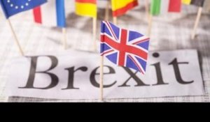 Pourquoi un Brexit ferait monter les périls nationalistes en Europe